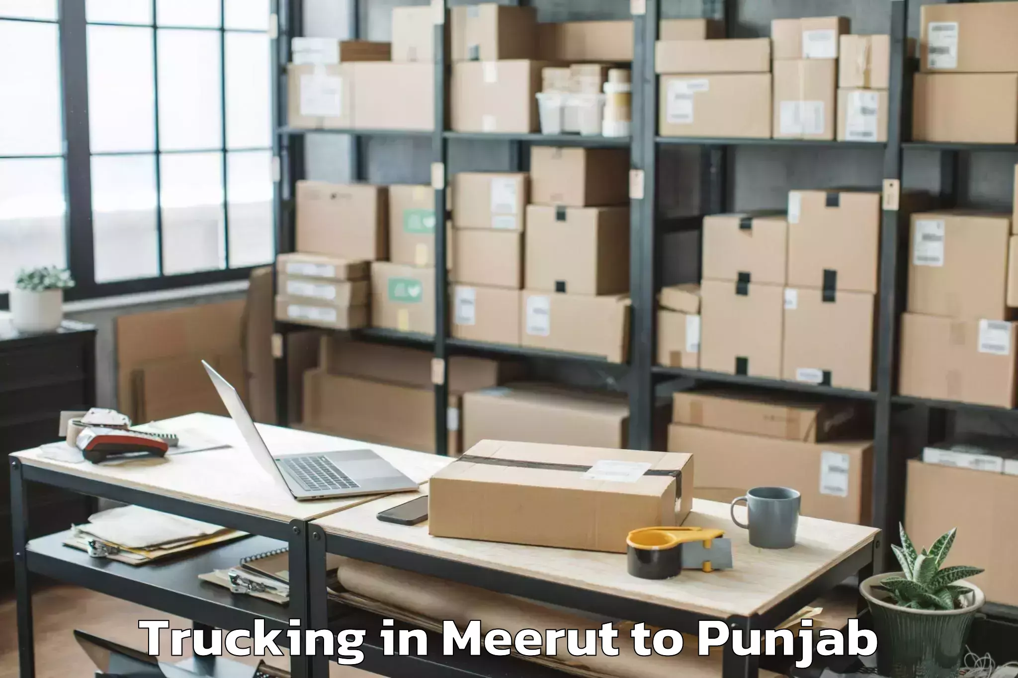 Reliable Meerut to Cosmo Plaza Mall Trucking